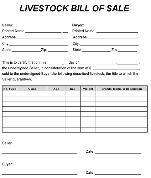 Livestock Bill of Sale Form Word