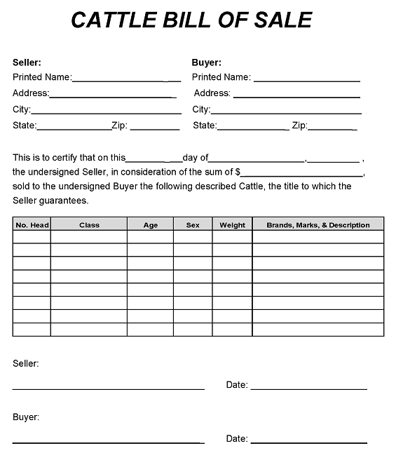 Cattle Bill of Sale Form